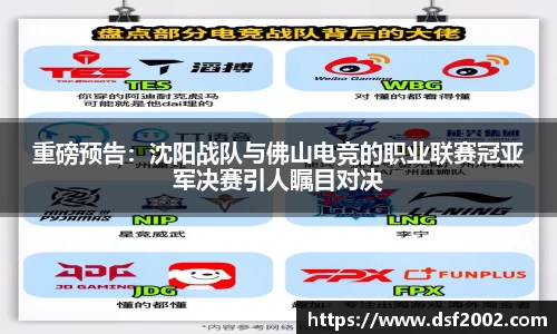 雷速体育官网